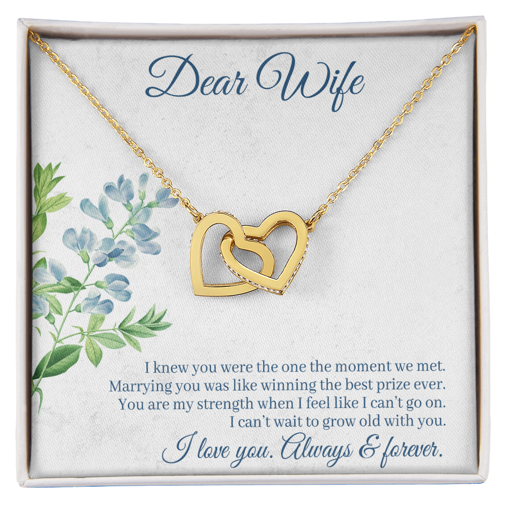 Interlocking Hearts Necklace - For Wife I Knew You Were The One