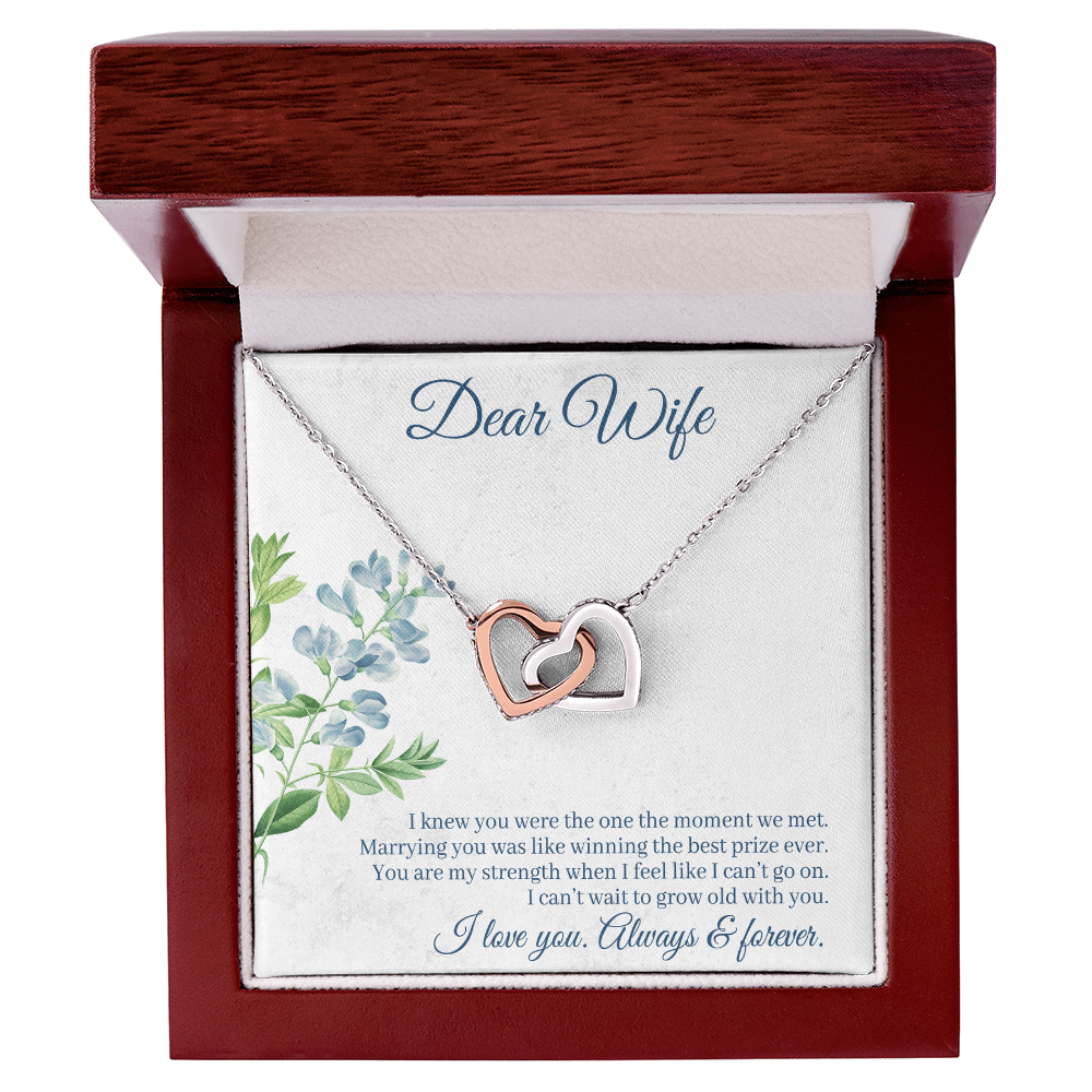 Interlocking Hearts Necklace - For Wife I Knew You Were The One