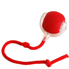 Automatic Rolling Pet Ball