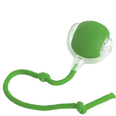 Automatic Rolling Pet Ball