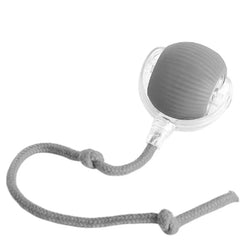 Automatic Rolling Pet Ball