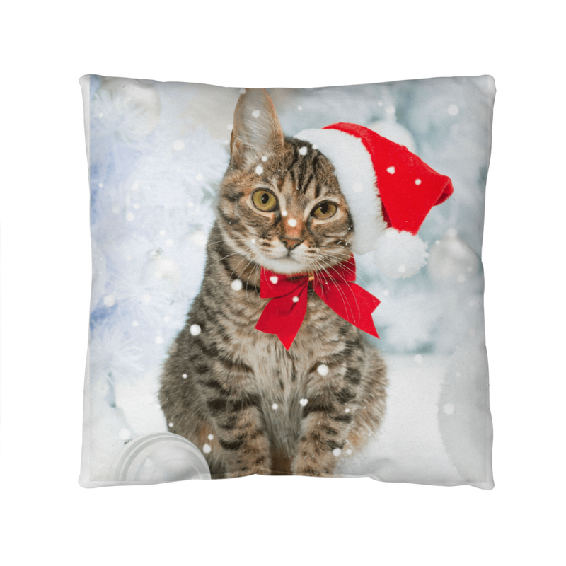 Indoor/Outdoor Pillows Revisable 2 for 1 Christmas Tabby and Floral Tabbys Everyday!